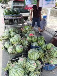 青州天台吃瓜事件