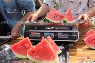 聊城吃瓜事件详细介绍,一场网络舆论的风暴与反思