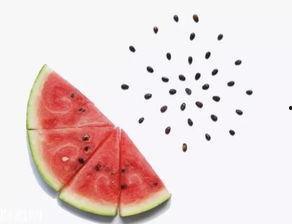 没有下巴吃瓜吐籽,吃瓜吐籽的趣味生活