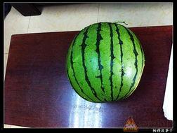 发布吃瓜,吃瓜群众带你领略明星幕后故事