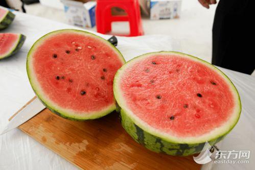 全国吃漳州的瓜,全国共赏闽南风味