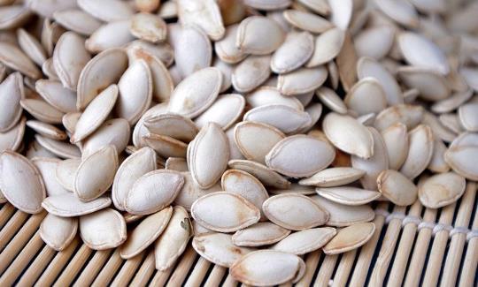 青皮瓜的籽可以吃吗,可食用之谜揭秘