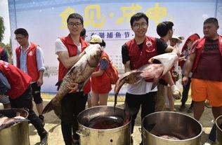 厦大马校吃瓜,揭秘校园吃瓜背后的故事