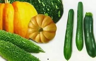 吃瓜现场全是苹果,吃瓜现场尽享果香四溢