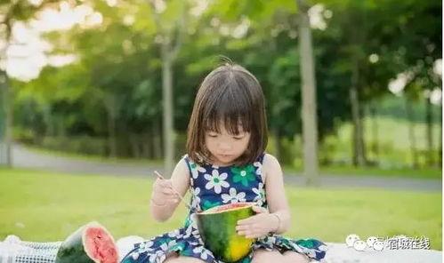 吃瓜北小熙,揭秘娱乐圈背后的那些事儿