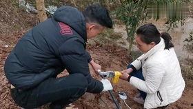 回农村过年吃瓜