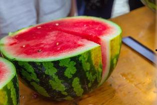 什么大学有瓜吃,哪些大学校园里“瓜”源不断，成为学生热议焦点