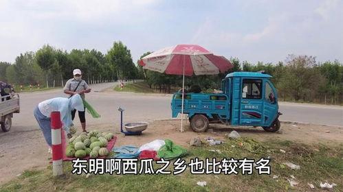 兰考县吃瓜,瓜果飘香，品味田园生活