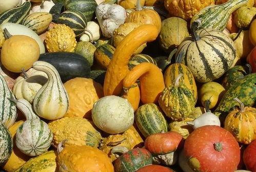 月子期间吃瓜,营养与禁忌的完美平衡