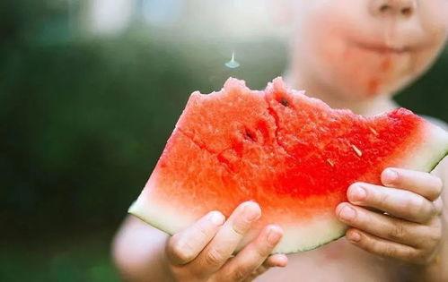 理质吃瓜,揭秘娱乐圈幕后真相与趣味故事