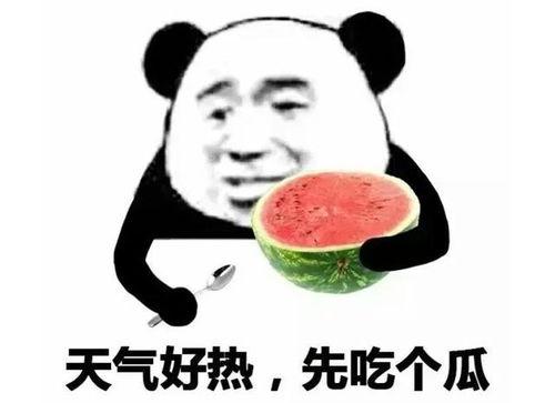 流泪吃瓜表情包,揭秘流泪吃瓜表情包的魅力